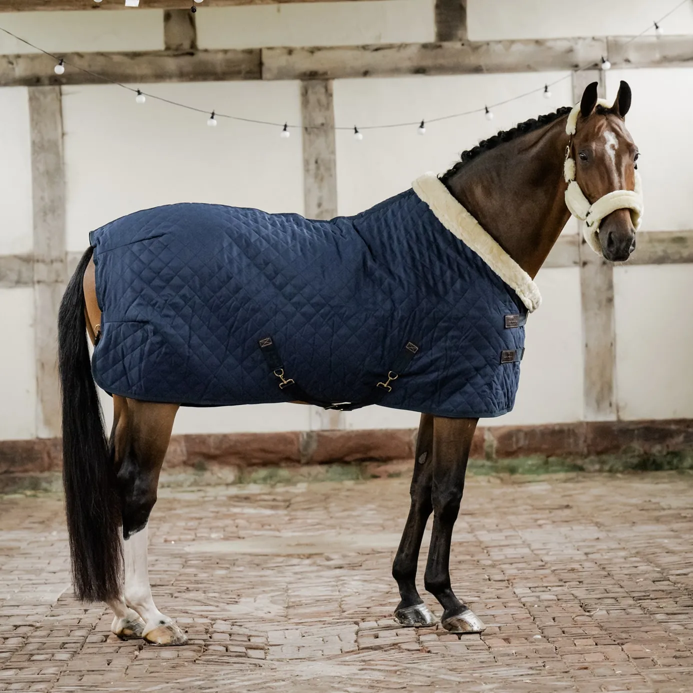 Kentucky Horsewear Show Rug - Navy